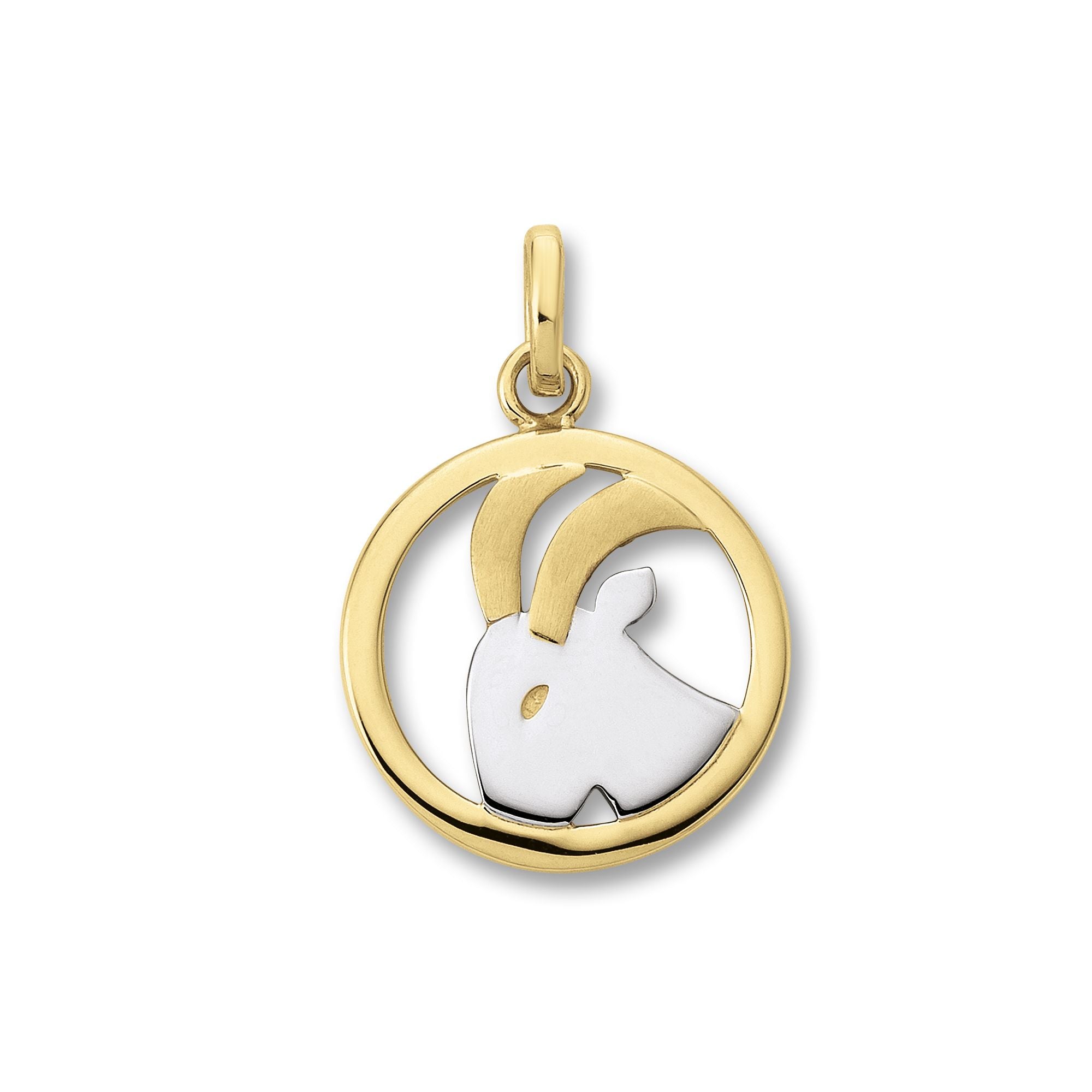 Anhänger in Bicolor Gold mit Sternzeichen Motiv - Juwelier Donkel