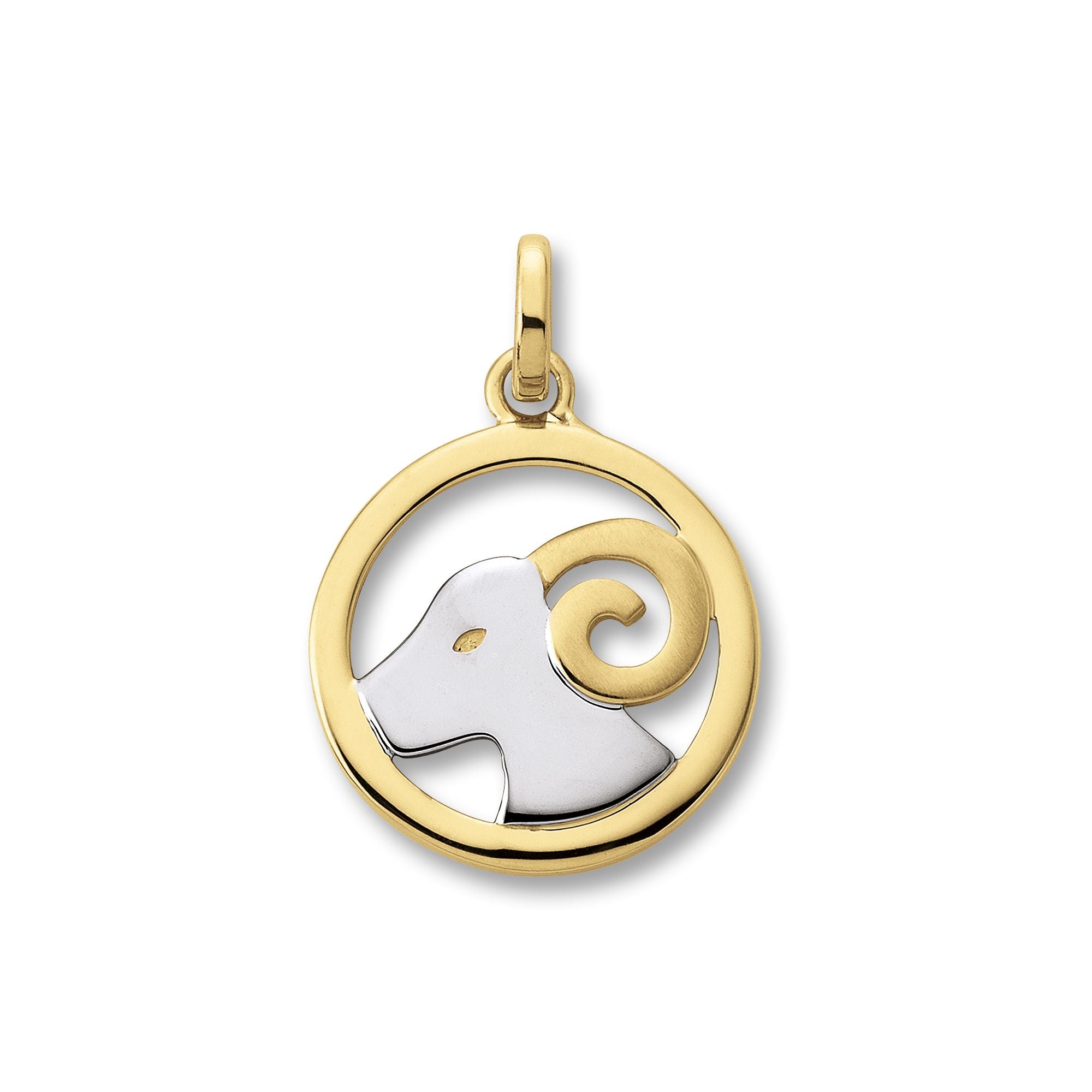 Anhänger in Bicolor Gold mit Sternzeichen Motiv - Juwelier Donkel