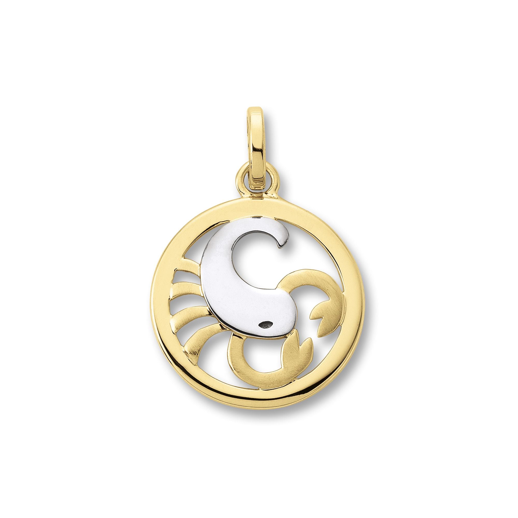 Anhänger in Bicolor Gold mit Sternzeichen Motiv - Juwelier Donkel