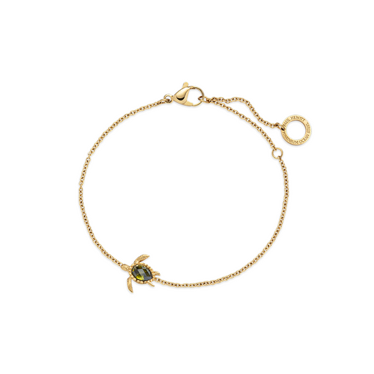 PAUL HEWITT - Armkette Turtle Mono aus recyceltem Edelstahl vergoldet